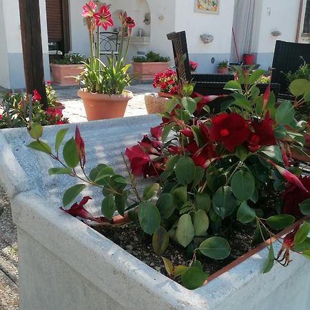 Il Casale Del Generale Bed & Breakfast อาเจโรลา ภายนอก รูปภาพ