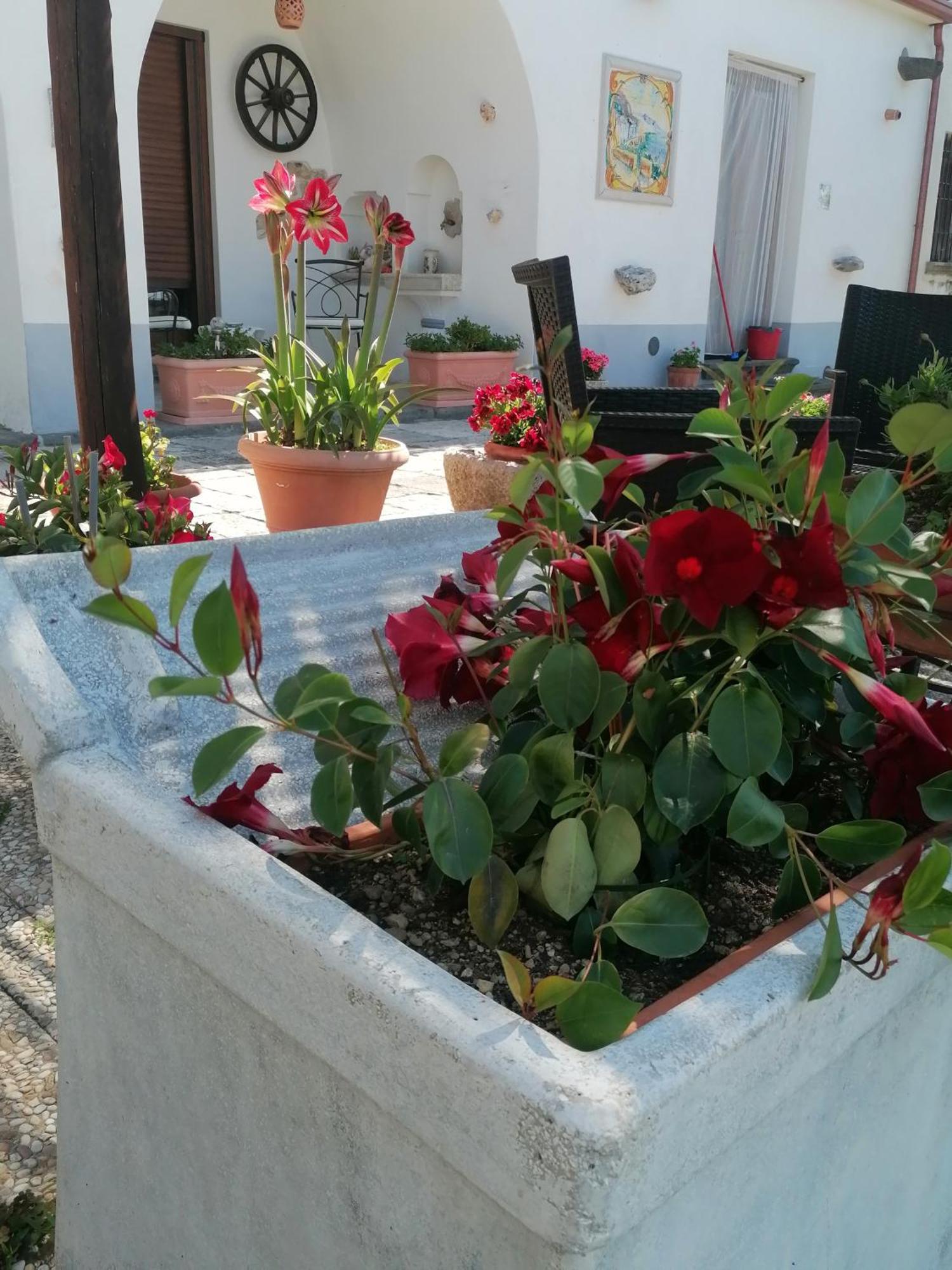 Il Casale Del Generale Bed & Breakfast อาเจโรลา ภายนอก รูปภาพ